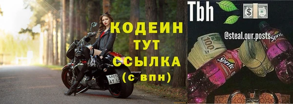 ECSTASY Алзамай